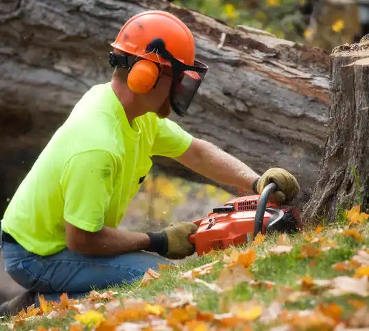 tree services Westville